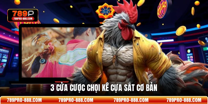 3 cửa cược chọi kê cựa sắt cơ bản