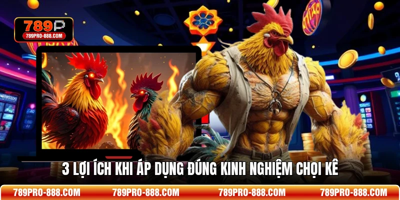 3 lợi ích khi áp dụng đúng kinh nghiệm chọi kê