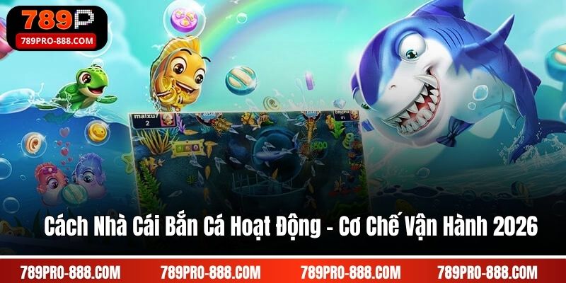 Cách Nhà Cái Bắn Cá Hoạt Động - Cơ Chế Vận Hành 2026