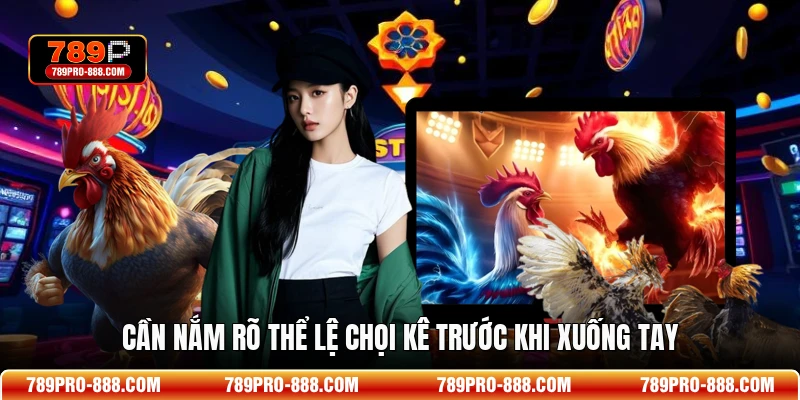 Cần nắm rõ thể lệ chọi kê trước khi xuống tay