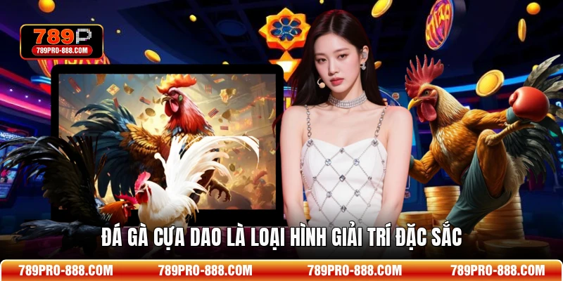 Đá gà cựa dao là loại hình giải trí đặc sắc