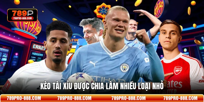 Kèo tài xỉu được chia làm nhiều loại nhỏ