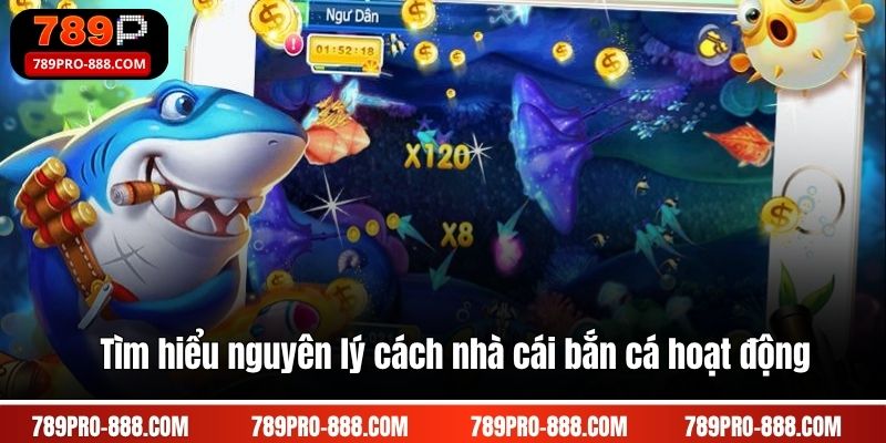 Tìm hiểu nguyên lý cách nhà cái bắn cá hoạt động